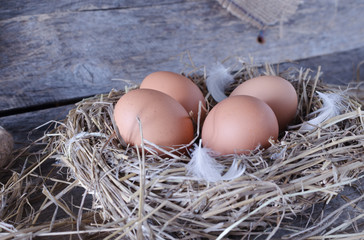 Chicken eggs in the chicken coop