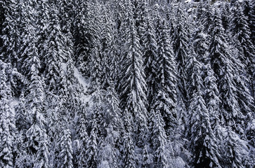texture hiver