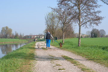 persona che cammina con i suoi cani