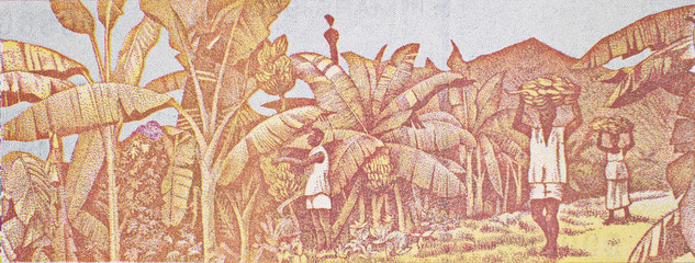 African farmers harvesting banana on Guinea 100 francs (2012) banknote closeup, Africa Guinean money macro