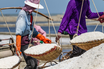 Salt field worker carrying salt with traditional shoulder pole with baskets during salt harvest in Ban Laem, Thailand