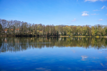 Fototapeta na wymiar lonely lake in early spring 