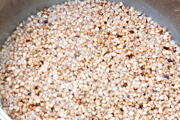 Buckwheat cooked, boiling water