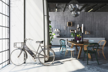 Bicycle in spacious modern penthouse