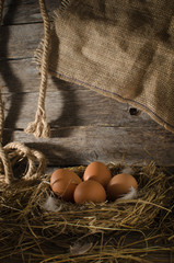 Chicken eggs in the chicken coop © freeman83