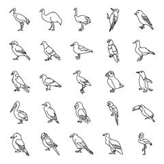 Birds outlines vector icons - obrazy, fototapety, plakaty