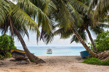 Fishing boats under palm trees on the coast of Anse Royale in Mahe, Seychelles