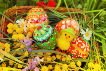 Hand painted colorful Easter eggs, cute little easter chicken, bright yellow mimosa branch and wildflowers in the wicker homemade basket with green meadow in the background.