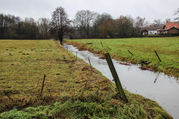 Obraz premium creek through a meadow