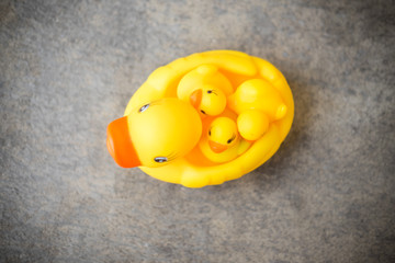 Yellow rubber duck and duckling