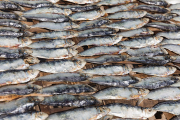 Fresh fish market on Mui Ne beach in Vietnam