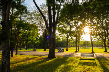 Park bench sunset yellow light beam