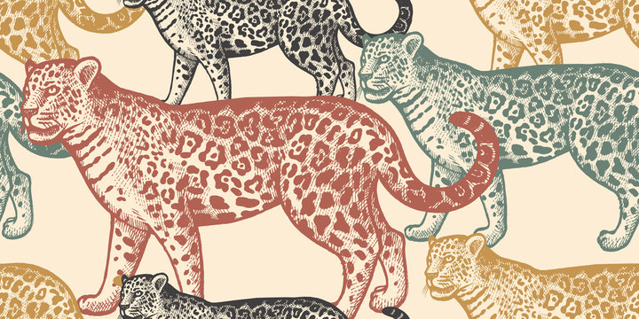 Seamless pattern with animal Jaguar.