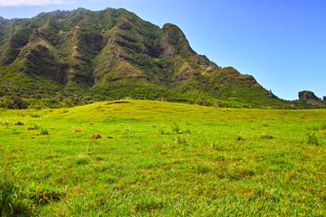 Fototapeta premium クアロアランチの風景