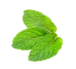 peppermint isolated on the white background