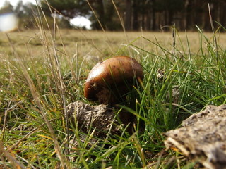Hola campo © Javier