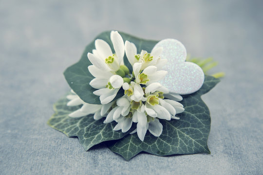 Bouquet of snowdrops on gray stone  background with copy space for message. First spring flowers. Greeting card for Valentine's Day, Woman's Day and Mother's Day holidays. Soft focus