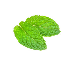 Fototapeta premium peppermint isolated on the white background