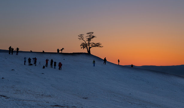 Silhouette of a lonley tree with people against sunset © Elena Sistaliuk