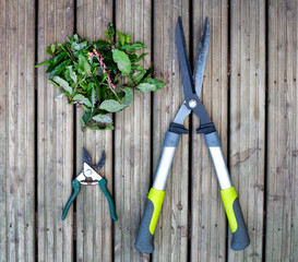Abstract still-life of gardening tools and leaf cuttings shot from above against vertical lines of wooden decking.