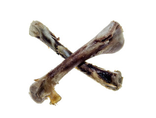 Bones from the chicken