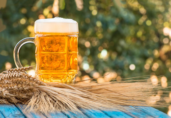 Light foamy beer in a glass on natural background