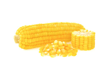 Boiled corn on white background