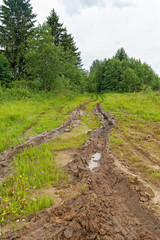 Dirt road with deep wet rut in flowering sunny meadow.
