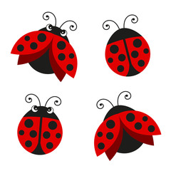 Fototapeta premium Vector Illustration of Ladybugs