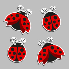 Obraz premium Vector Illustration of Ladybugs