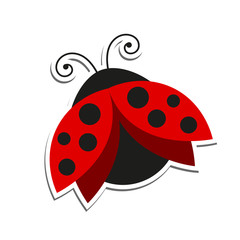 Vector Illustration of a Ladybug