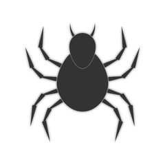 spider with shadow. abstract insect icon. white background. vector illustration.