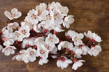 Some flowering twigs of plum tree on wooden background