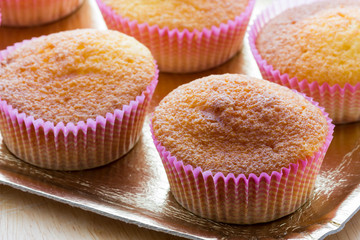 Sweet donuts with icing sugar
