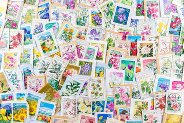 Fototapeta na wymiar A stamp printed in Japan shows various flowers collection