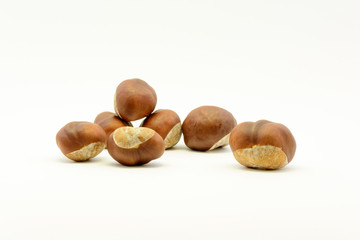Closeup chestnuts isolated on white background. Fresh autumn chestnut. Sweet natural fruit the chestnut tree. Sign of autumn. Autumn decoration from chestnuts.