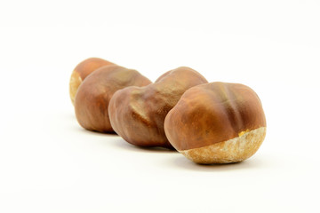 Closeup chestnuts isolated on white background. Fresh autumn chestnut. Sweet natural fruit the chestnut tree. Sign of autumn. Autumn decoration from chestnuts.