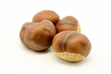 Closeup chestnuts isolated on white background. Fresh autumn chestnut. Sweet natural fruit the chestnut tree. Sign of autumn. Autumn decoration from chestnuts.