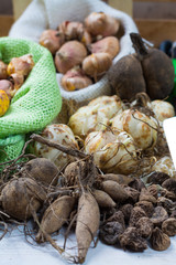 Spring and summer garden works - plant summer flowers, bulbs, seeds, roots