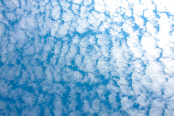 clear sky and tiny clouds on beautiful nature background texture 
