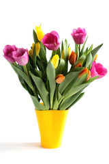 A bouquet of bright yellow, fuchsia and orange tulips in a vase isolated on white background. Spring mood. Flowers.