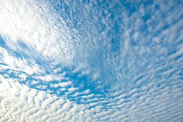 Fototapeta na wymiar blue sky and tiny clouds on beautiful nature background texture 
