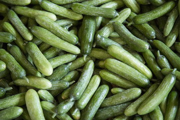 Fresh cucumber background