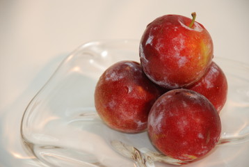 plum006