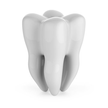 Human tooth isolated on white background 3D rendering.
