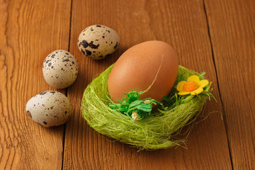 Naklejka na ściany i meble Chicken and quail eggs with a green nest