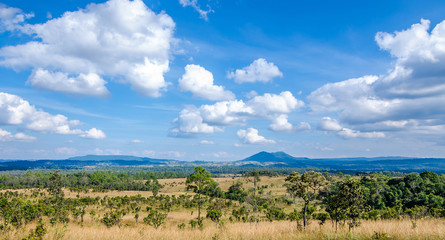 Fototapeta na wymiar Natural daytime Tung Salang Luang National Park.Khao Kho Phetchabun in Thailand