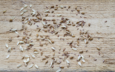 Spilled grain of flax, wheat on a wooden background with. View from above