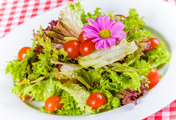 Salad witth lettuce leaves and cherry tomato