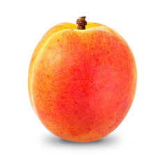 apricot